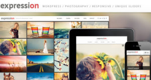 Responsives WordPress Vorlage für die Ausdrucksfotografie