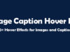 Bildunterschrift Hover Pro für Visual Composer