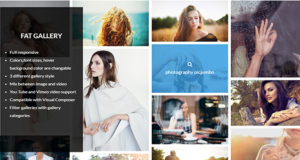 FAT Bildergalerie für WordPress