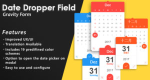 Gravity Forms Datum Pipettenfeld