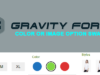 Gravity Forms Farb- oder Bildoptionsstreifen