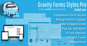 Gravity Forms Stile Pro Add-on