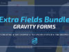 Gravity Forms - Zusätzliches Feldpaket