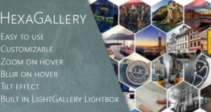 Hexa Galerie für Visual Composer