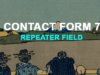Kontaktformular 7 Repeater