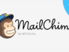 MailChimp für NEX-Formulare
