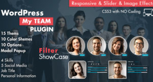 Mein Team präsentiert WordPress Plugin