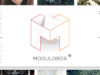ModuloBox - NextGen Lightbox Plugin für WordPress