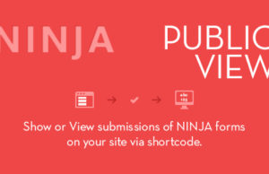 Ninja Forms öffentliche Ansicht