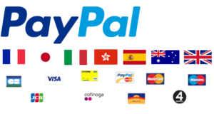 PayPal Pro Hosted Lösung für WooCommerce