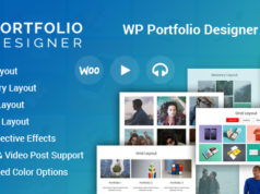 Portfolio Designer für WordPress