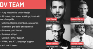 Responsive Team von DV Team Schaufenster WordPress Plugin