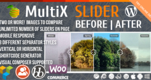 Vorher-Nachher MultiX Slider