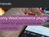 WooCommerce Großhandelspreise