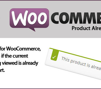 WooCommerce Produkt bereits im Warenkorb