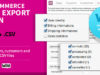 WooCommerce Schnell Export Plugin