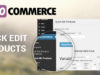 WooCommerce Schnellbearbeitungsprodukte