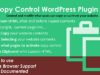 WordPress Kopiersteuerungs-Plugin