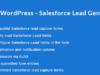 WordPress - Salesforce Leadgenerierung | WordPress - Salesforce Lead Capture