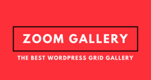 Zoom Galerie – WordPress Bildraster