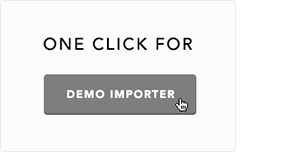 One Click Demo Importeur