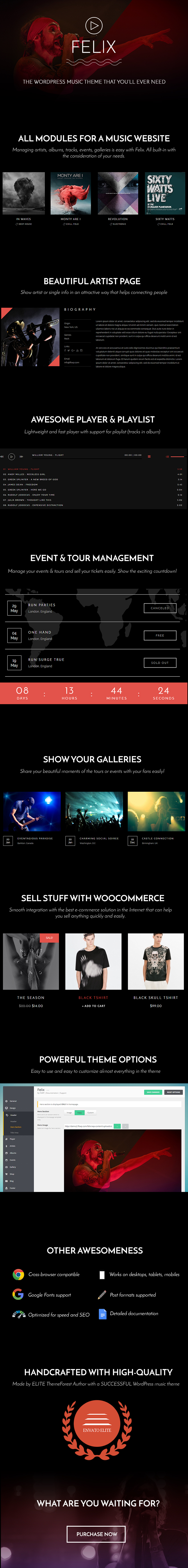 Felix WordPress Musik Thema