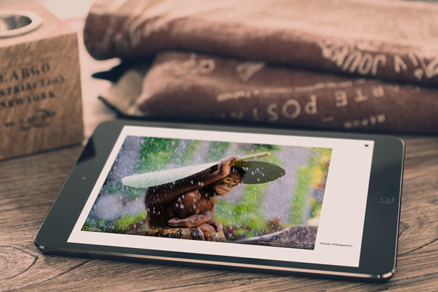 iPad