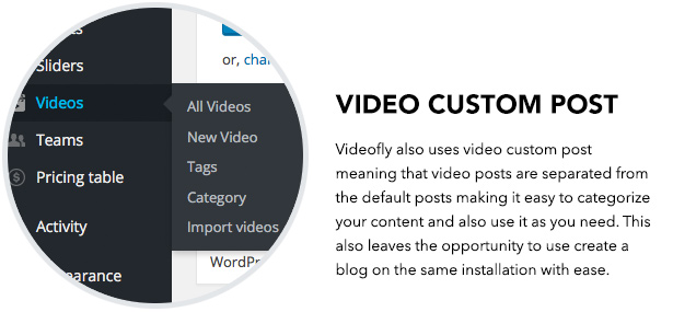 TouchSize Video WordPress Layout Premium