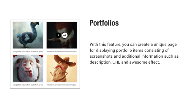 Portfolios