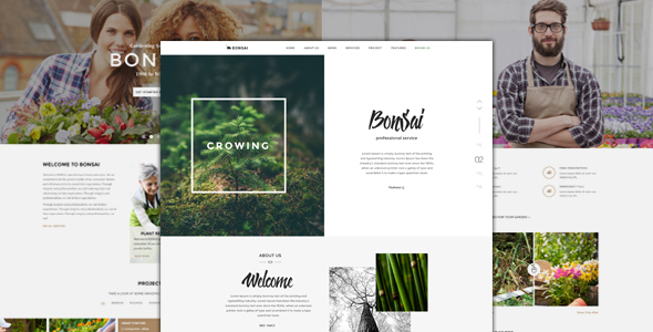 Bonsai - Responsive HTML-Vorlage für Landschaftsgärtner und Gärtner