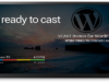 vCast-Schaltfläche für WordPress