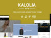 SNS Kalolia - Geschäft WordPress WooCommerce Layout