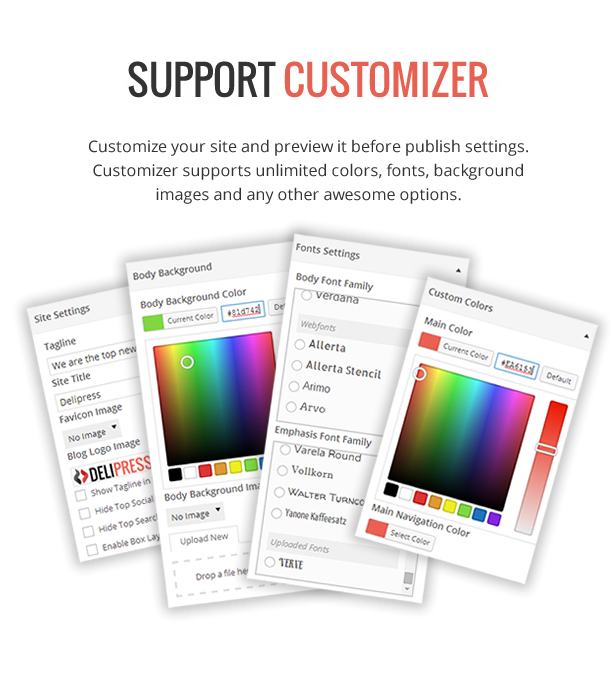 Customizer Support - DeliPress - Magazin und Review WordPress Layout
