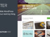 Cluster - Ein fettes Portfolio WordPress Layout
