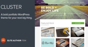 Cluster – Ein fettes Portfolio WordPress Layout