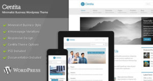 Centita – minimalistisches Geschäft WordPress Layout