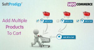 Fügen Sie mehrere Produkte zum Warenkorb in WooCommerce hinzu