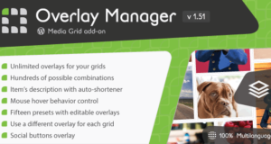 Media Grid – Zusatzmanager-Add-on