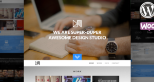 Nonus Parallax WordPress Portfolio