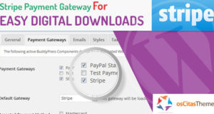 Stripe Payment Gateway für einfache digitale Downloads