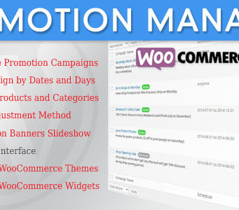 WooCommerce Promotion Manager