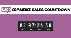 WooCommerce Umsatz-Countdown