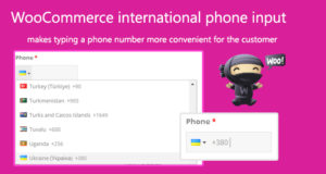 WooCommerce internationale Telefoneingabe
