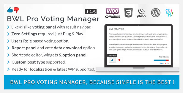 WordPress-Plugin für den BWL Pro-Voting-Manager
