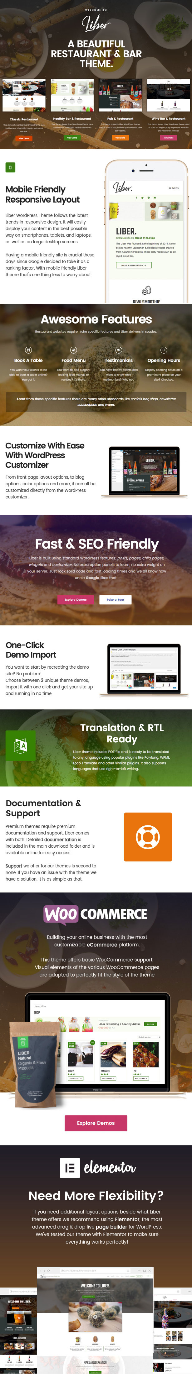 WordPress-Thema