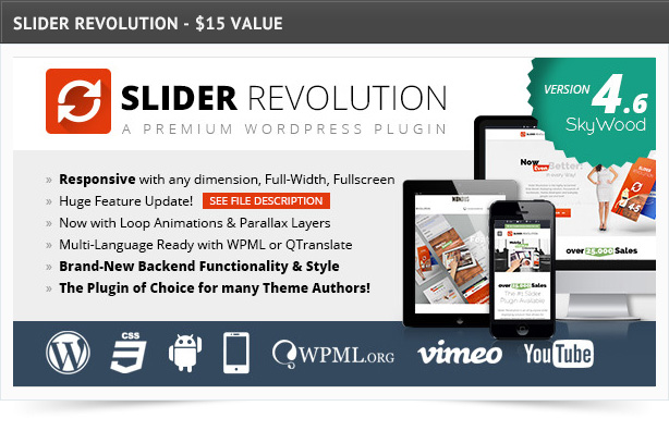 Millionen-Wordpress-Vorlage-Features