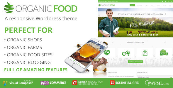 EAGLEEYES - Creative multipages and One page WP Theme - 16