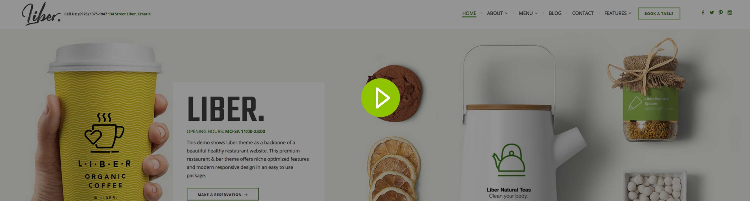 WordPress-Thema