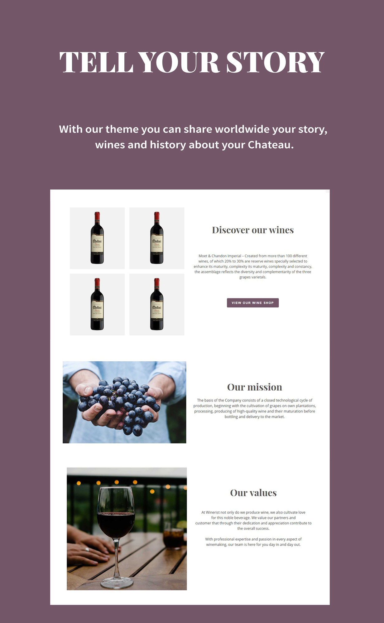 Winerist - Ein atemberaubendes Weingut WordPress Vorlage