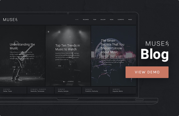 Muse - Musik Blog WordPress Layout